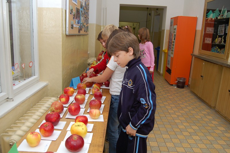 Výstava jablek 2008