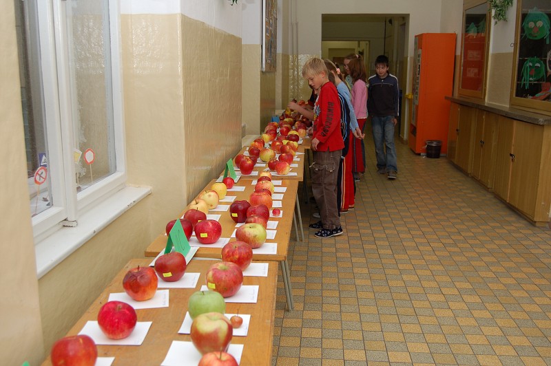 Výstava jablek 2008